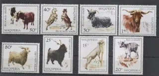 1256-1263 Fauna