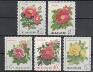 1265-1269 Flora