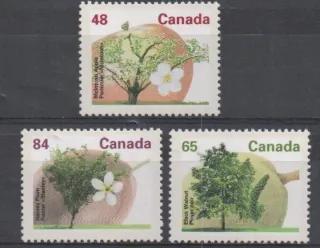 1270-1272 Flora