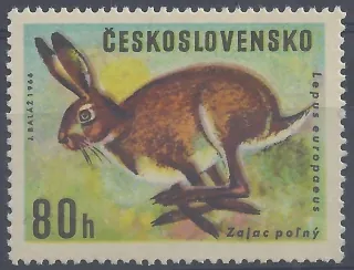 1570 - II. typ