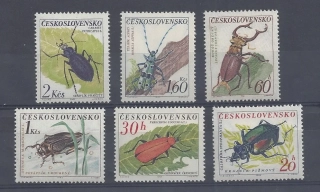 1279-1284** Chrobáci