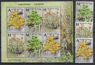 1303-1305 BL 177 Flora