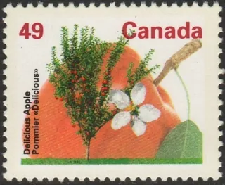 1340 Flora