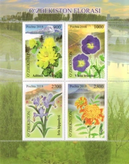 1342-1345 Flora