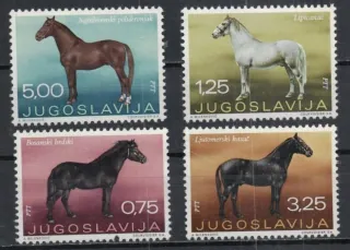 1344-1347 Fauna