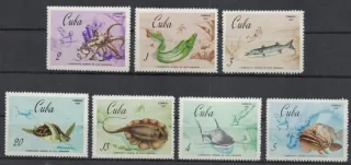 1344-1350 Fauna