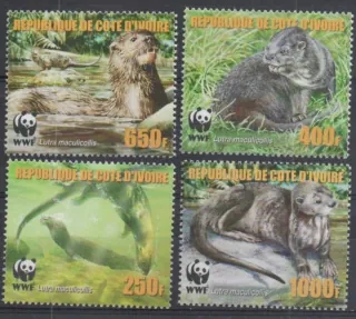 1353-1356 Fauna