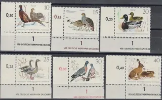 1357-62+DZ