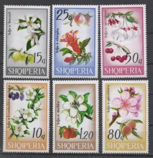 1362-1367 Flora