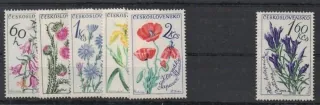 1381 DV 3/1
