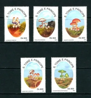 1392-1396 Hríby