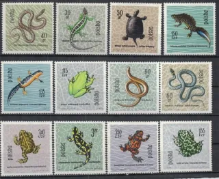 1393-1404 Fauna