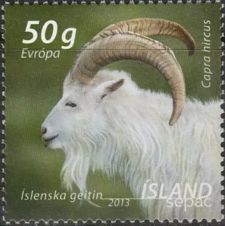 1403 Fauna