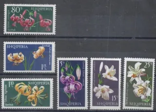 1405-1410 Flora
