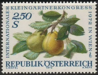 1424** Flora