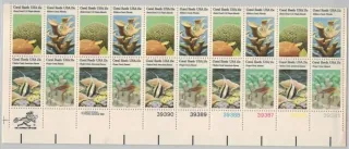 1434-1437 FAUNA