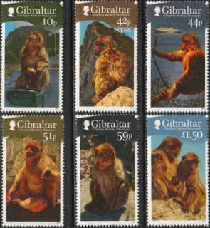 1437-1442 Fauna