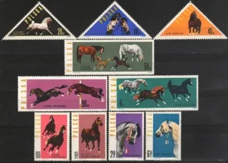 1447-1456 FAUNA