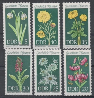1456-1461