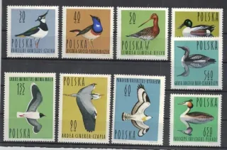 1490-1498 Fauna