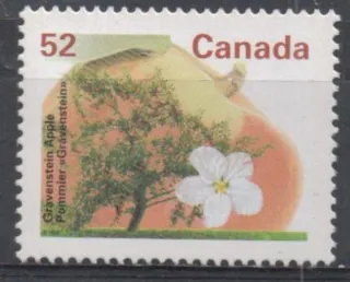 1497 F Flora