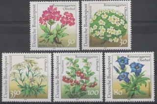 1505-1509 Kvety