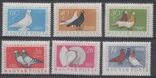 1505-1510 **Vtaky