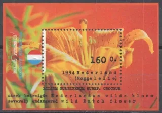 1507 BL 40 Kvety