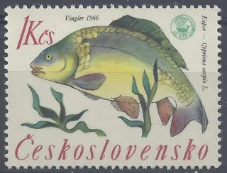 1519 II.typ