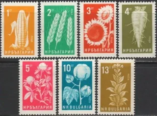 1522-1528 Fauna