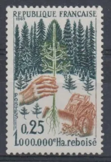1524