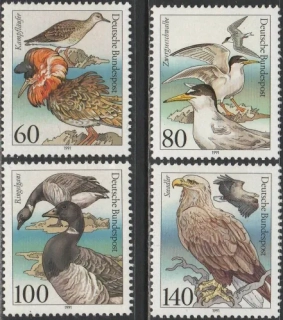 1539-1542 Vtáky