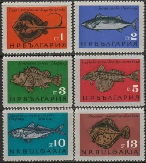 1542-1547 Ryby