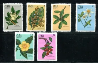1562-1567 Kvety