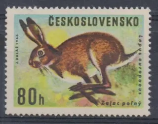 1570-II.Typ