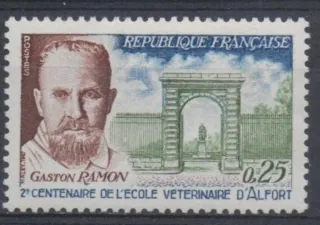 1584