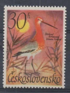 1587-II.Typ