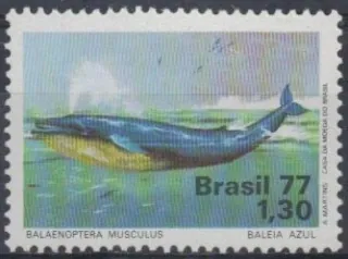 1597 FAUNA