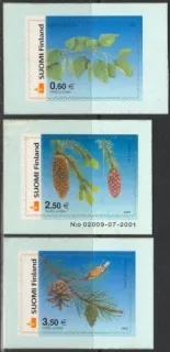 1602-1604 Flora