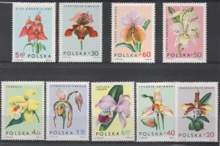 1612-1620 Kvety