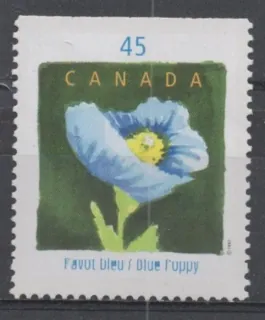 1616 Flora