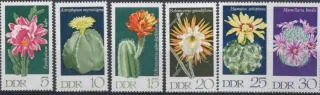 1625-1630 Kvety