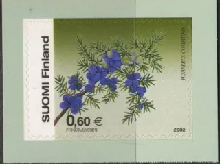 1625 Flora