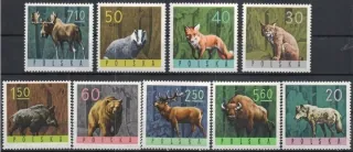 1635-1643 Fauna