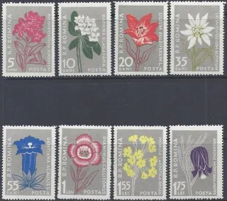 1647-1654 Kvety