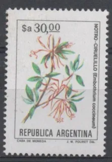 1682 y