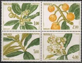1689-1692 Flora