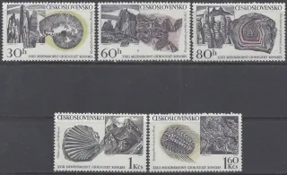 1699-1703** Geologický kongres
