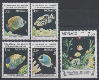 1704-1708 Fauna