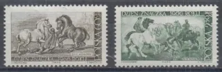1715-1716
